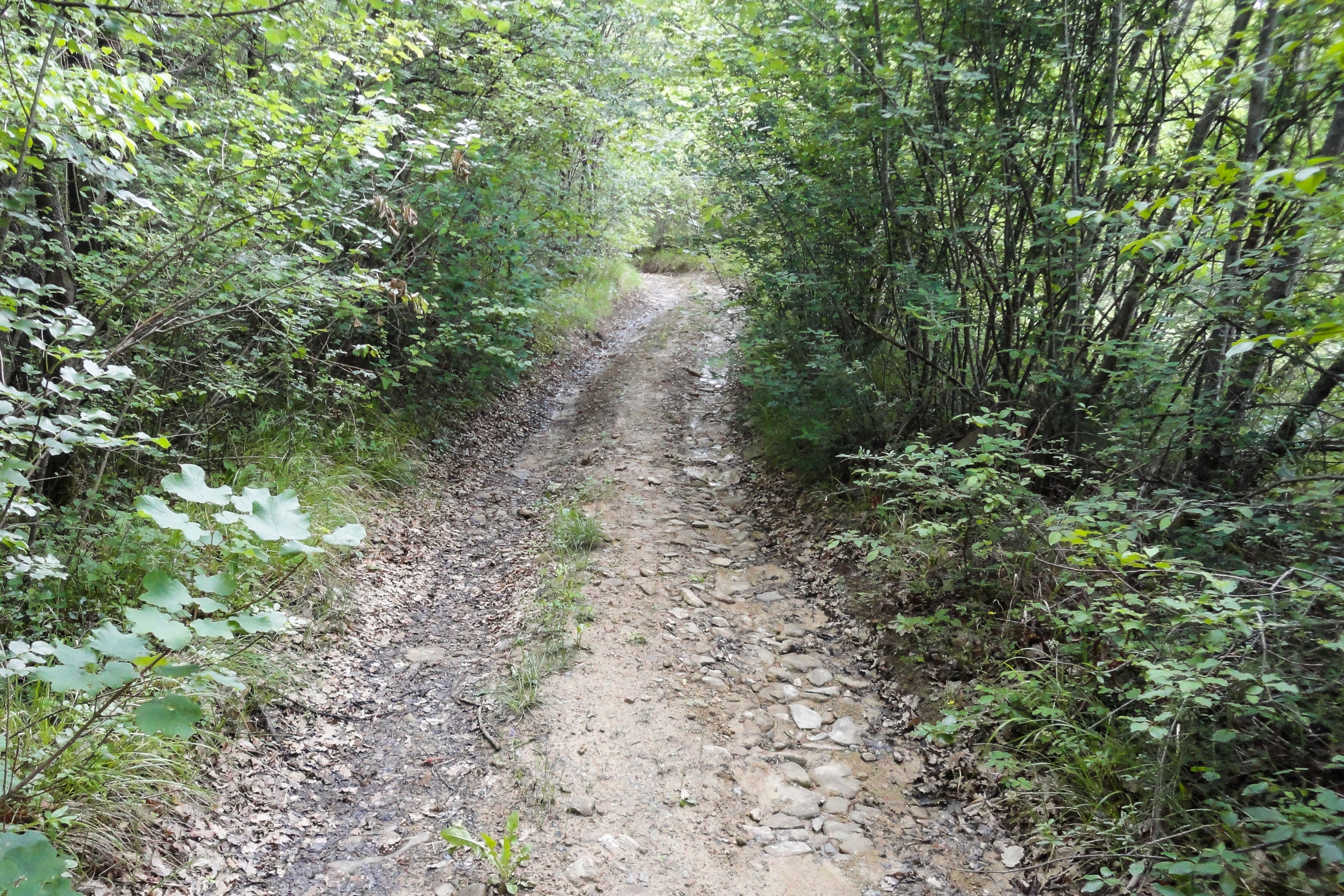 Abenteuerlicher Feldweg – steinig und ausgewaschen
